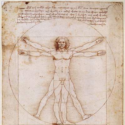 El hombre de vitruvio El hombre de vitruvio
