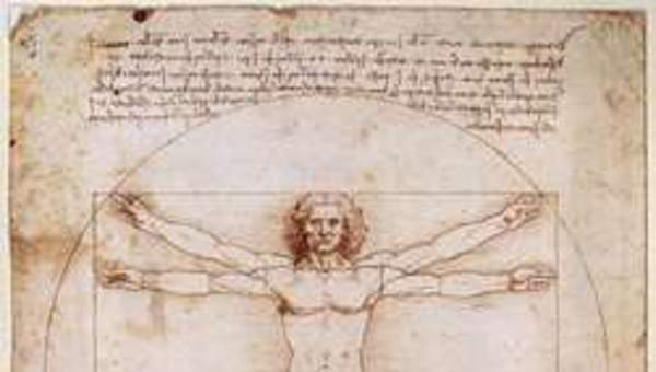 El hombre de vitruvio El hombre de vitruvio
