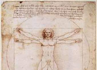 El hombre de vitruvio El hombre de vitruvio