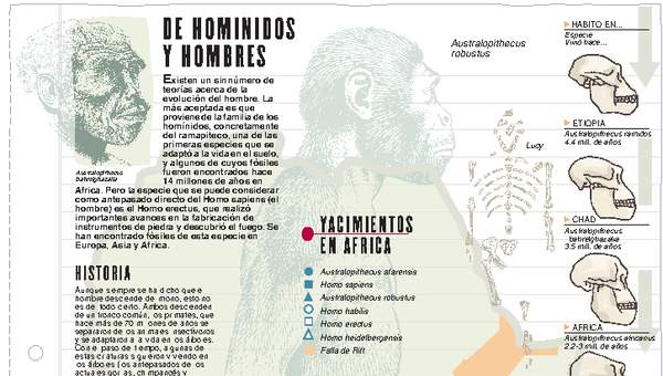 Homínidos Homínidos