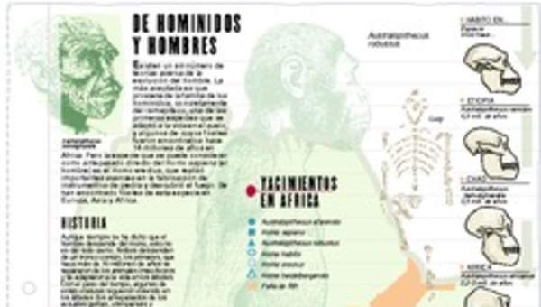 Homínidos Homínidos