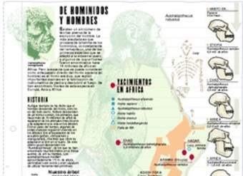 Homínidos Homínidos