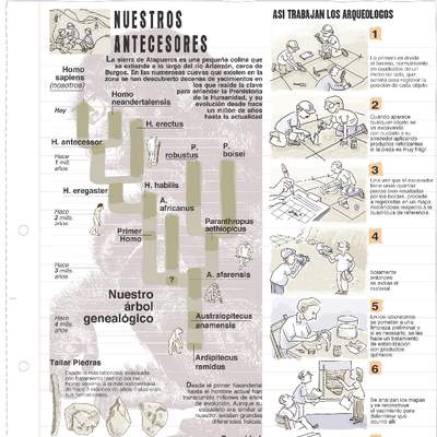 Trabajo de los arqueólogos Trabajo de los arqueólogos