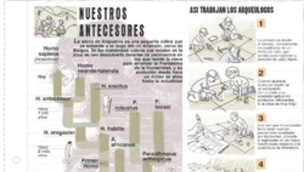 Trabajo de los arqueólogos Trabajo de los arqueólogos