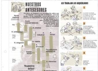 Trabajo de los arqueólogos Trabajo de los arqueólogos