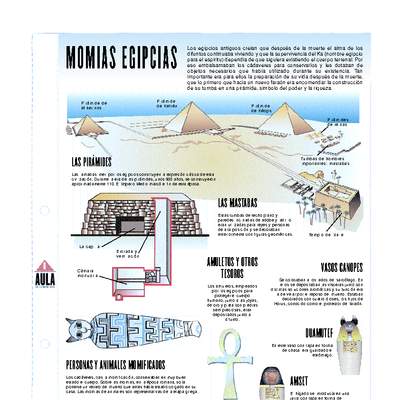 Momias Egipcias Momias Egipcias