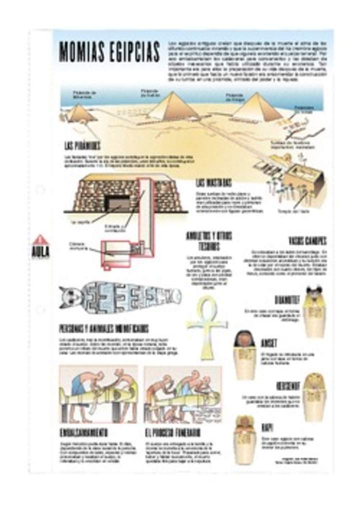 Momias Egipcias Momias Egipcias