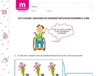 Adiciones de números naturales menores a 1000 Adiciones de números naturales menores a 1000