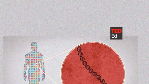 Cómo secuenciar el genoma humano Cómo secuenciar el genoma humano