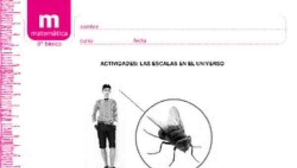 Las escalas en el universo Las escalas en el universo