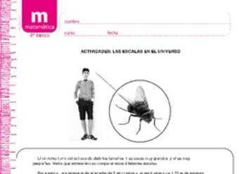 Las escalas en el universo Las escalas en el universo