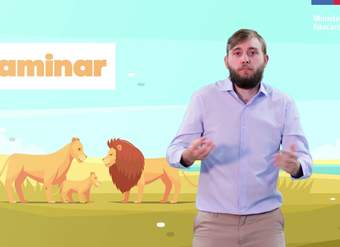 Clasificamos animales/Cs. Naturales 1° básico Clasificamos animales/Cs. Naturales 1° básico