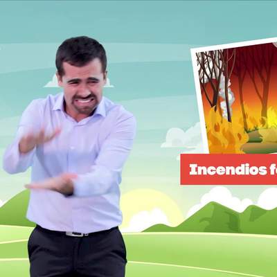 Protejamos los ecosistemas/Cs. Naturales 4° básico Protejamos los ecosistemas/Cs. Naturales 4° básico