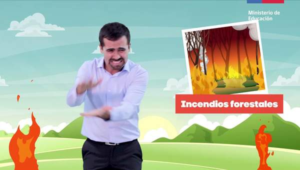 Protejamos los ecosistemas/Cs. Naturales 4° básico