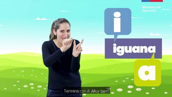 Entrando en el mundo de las palabras/Lenguaje y Comunicación 1° básico Entrando en el mundo de las palabras/Lenguaje y Comunicación 1° básico