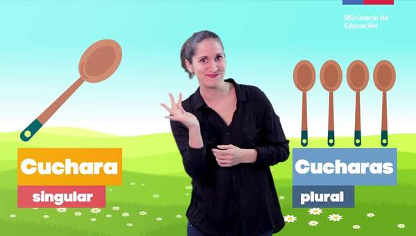 Concordancia género y número/Lenguaje y Comunicación 2° básico Concordancia género y número/Lenguaje y Comunicación 2° básico