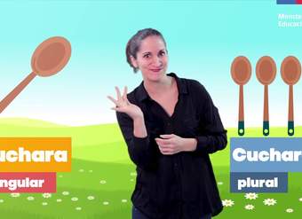 Concordancia género y número/Lenguaje y Comunicación 2° básico Concordancia género y número/Lenguaje y Comunicación 2° básico