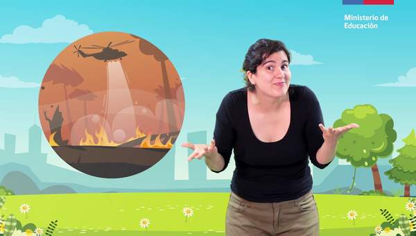 Los servicios en la comunidad/Historia, Geografía y Cs. Sociales 2° básico Los servicios en la comunidad/Historia, Geografía y Cs. Sociales 2° básico