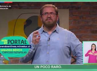 Ciencias Naturales 2° básico Capítulo 5 Ciencias Naturales 2° básico Capítulo 5