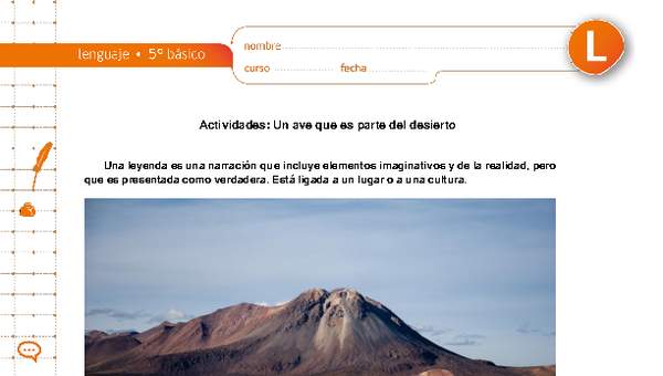 Un ave que es parte del desierto