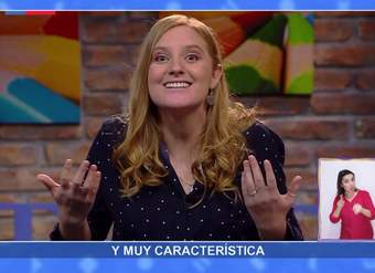 AprendoTV- Lenguaje 3°básico/ /Capítulo 9 AprendoTV- Lenguaje 3°básico/ /Capítulo 9