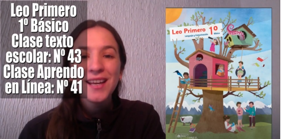 Video de la clase Video de la clase