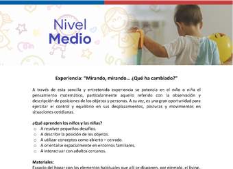 Experiencia: “Mirando, mirando… ¿Qué ha cambiado?” Experiencia: “Mirando, mirando… ¿Qué ha cambiado?”