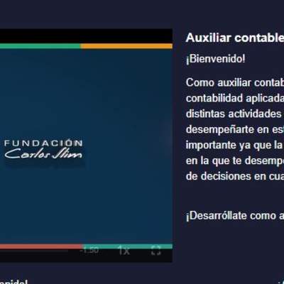 Auxiliar contable Auxiliar contable