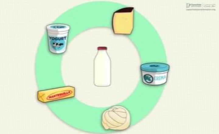 Curso: Granjero de lechería Curso: Granjero de lechería