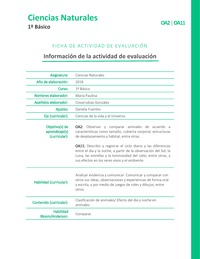 Efectos del día y la noche en la naturaleza Efectos del día y la noche en la naturaleza