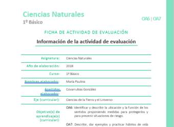 EVF-CN01-OA06-OA07 EVF-CN01-OA06-OA07