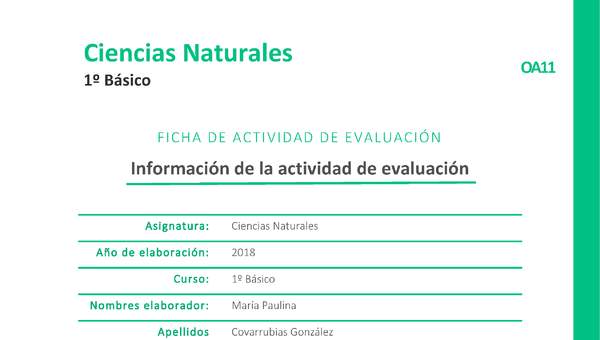 El lago de las sombras El lago de las sombras