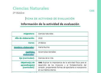 EVF-CN02-OA08 EVF-CN02-OA08