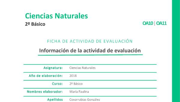 El agua en la planta El agua en la planta