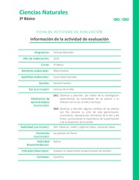 Nuestras plantas Nuestras plantas