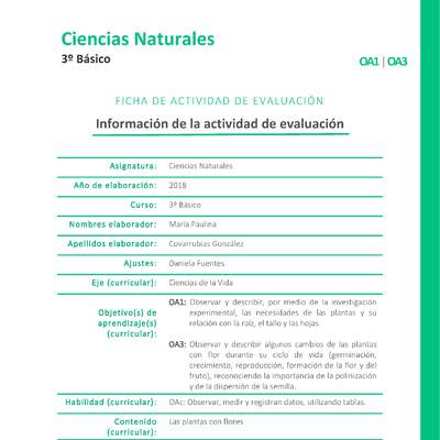 Nuestras plantas Nuestras plantas