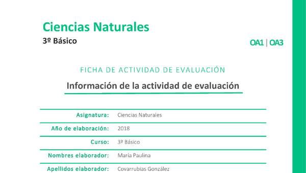 Nuestras plantas Nuestras plantas