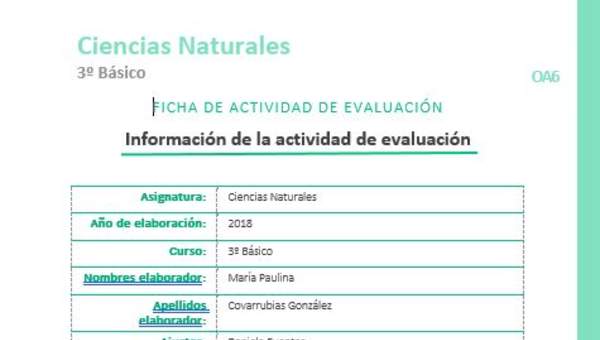 EVF-CN03-OA06 EVF-CN03-OA06