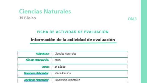 EVF-CN03-OA13 EVF-CN03-OA13