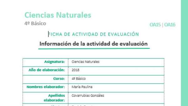 EVF-CN04-OA15-OA16 EVF-CN04-OA15-OA16