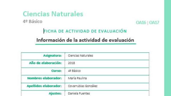 EVF-CN04-OA16-OA17 EVF-CN04-OA16-OA17