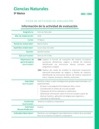 Órganos que necesitan actividad física Órganos que necesitan actividad física