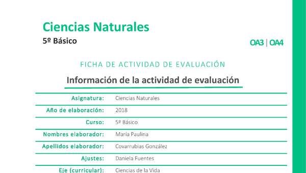 Órganos que necesitan actividad física Órganos que necesitan actividad física