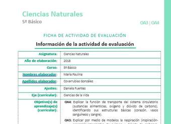 EVF-CN05-OA04-OA03 EVF-CN05-OA04-OA03