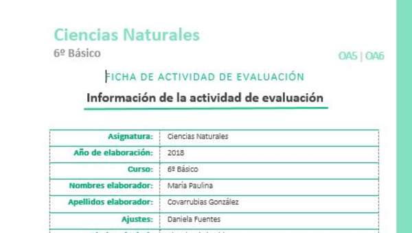 EVF-CN06-OA05-OA06 EVF-CN06-OA05-OA06