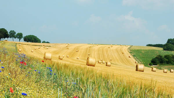 Imagen Unidad 3 Imagen Unidad 3