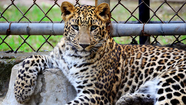 Imagen Unidad 1 Imagen Unidad 1