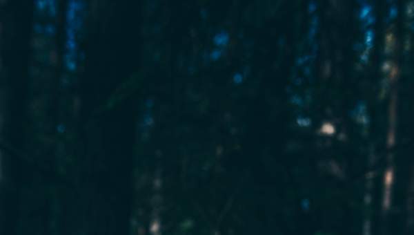 Imagen Unidad 2 Imagen Unidad 2