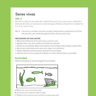 Ejemplo Evaluación Programas - OA01 - Los seres vivos - 2 Ejemplo Evaluación Programas - OA01 - Los seres vivos - 2