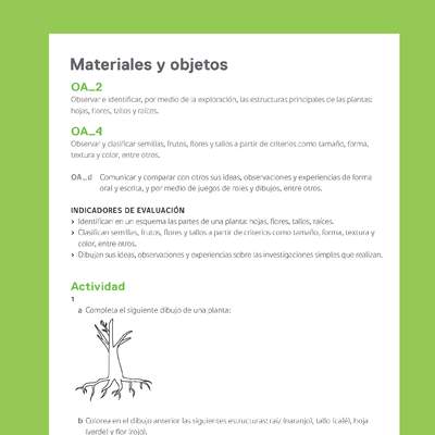 Ejemplo Evaluación Programas - OA02 - OA04 - Las plantas Ejemplo Evaluación Programas - OA02 - OA04 - Las plantas